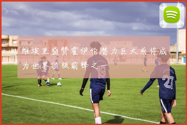 维埃里盛赞霍伊伦潜力巨大或将成为世界顶级前锋之一