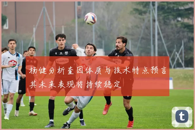 杨健分析奎因体质与技术特点预言其未来表现将持续稳定