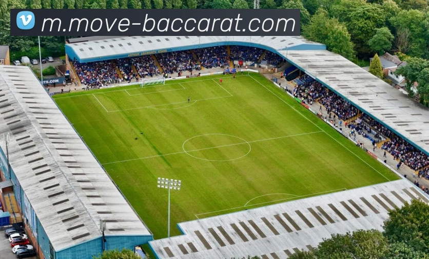 百家乐网站平台生态图