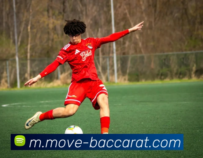 百家乐网站APP 封面图